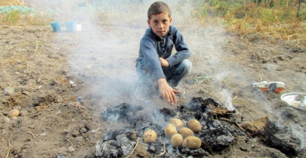 Potato Harvest in Dzovak: Odds Stacked Against Small Scale Farmers