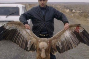 Շենավանի համայնքապետը Կարմիր գրքում գրանցված կենդանիներ է որսում