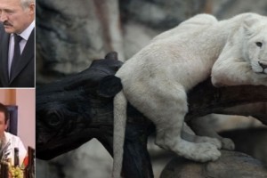 Gagik Tsarukyan’s White Lions : Gifts to Belarus President Lukashenko and Family