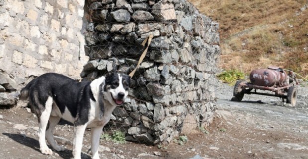 Artsakh Line of Contact Tense Last Week