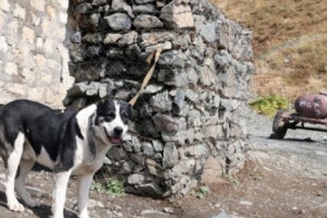 Artsakh Line of Contact Tense Last Week