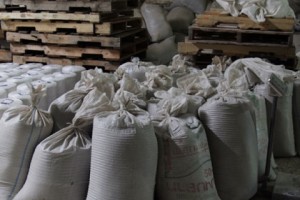 Գեղարքունիքում հնդկացորեն աճեցրած գյուղացիները փաստի առաջ են կանգնել. 
վերամշակման գործարանը դեռևս չի աշխատում