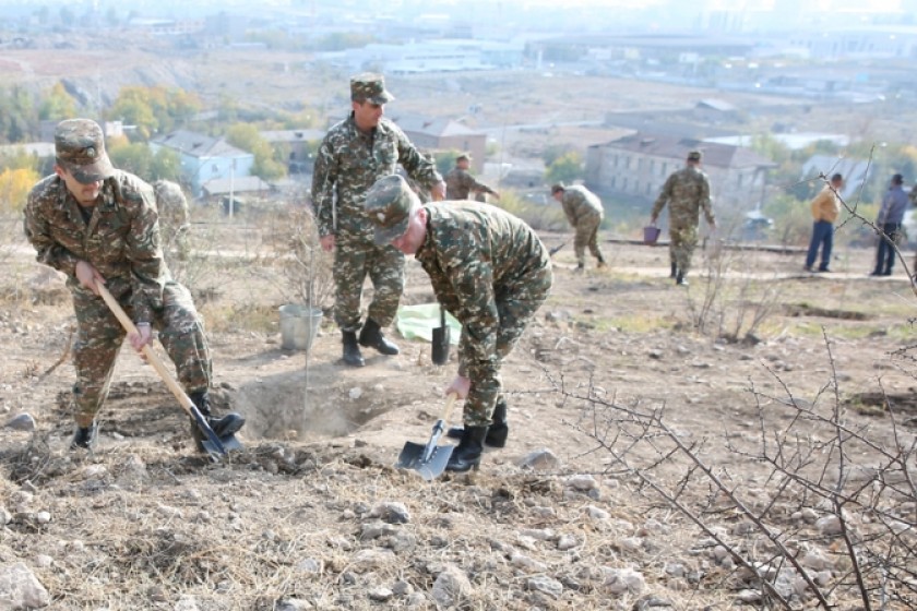 2,000 Trees Planted at Yerevan's Yerablour Military Pantheon