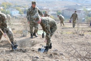 2,000 Trees Planted at Yerevan's Yerablour Military Pantheon