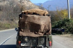 Լոռու մարզի դատախազը փայտանյութի մթերումը կարգավորելու միջնորդագիր է ներկայացրել գյուղատնտեսության նախարարին