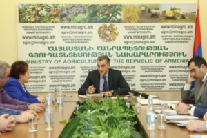 Գյուղատնտեսության նախարարությունում քննարկվել են անասնաբուծության զարգացմանն առնչվող հարցեր

