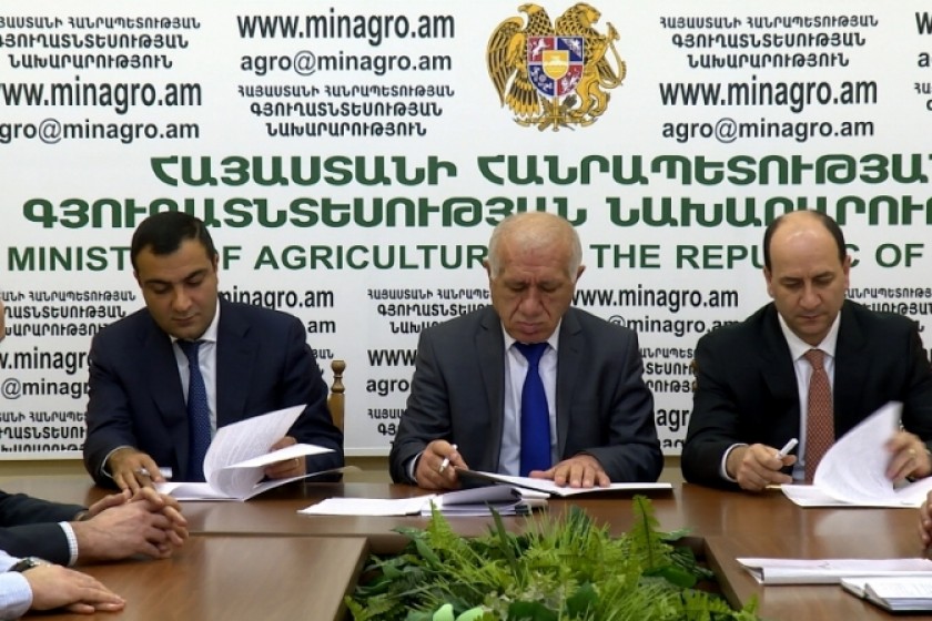 Մեկնարկում են ինտենսիվ պտղատու այգիների, կարկտապաշտպան ցանցերի և կաթիլային ոռոգման համակարգերի ներդրման սուբսիդավորման  ծրագրերը