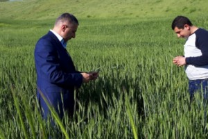 Մարտունու շրջանի որոշ համայնքներում ցանքսերը կարկտահարվել են
