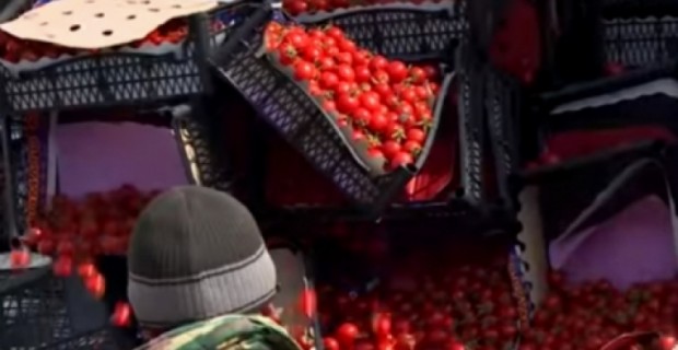 Ռոսսելխոզնադզորի կողմից արգելված մթերքը Հայաստան չի վերադարձվել. ՍԱՊԾ
