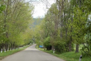 Պարզաբանում