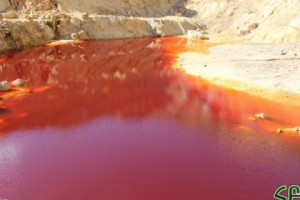 “Assessment and Management Plan for Amulsar Acid Mine Drainage Capacity Not Compliant with 
International Standards”: Experts