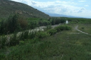 Փոքր Վեդիի բնակիչներն ուզում են ազատվել խորքային հորերից, իսկ կառավարությունը 
երկուսով ավելացրել է դրանց թիվը