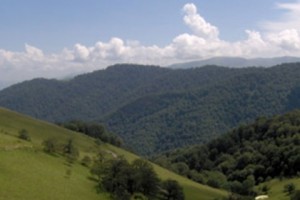 Council of Europe Renews “European Diploma for Protected Areas” for Armenia’s Khsorov Forest Reserve
