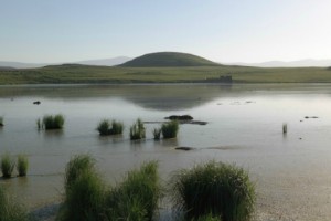 Pig and Dairy Farm Owned by Mayor’s Family Polluting Spring-Fed Lake Ardenis in Armenia’s Lake 
Arpi National Park