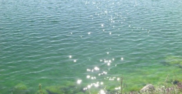 Health Ministry to Bathers: Stay Away From Lake Sevan Algae Blooms