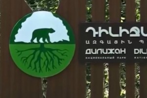 Դիլիջանում ծառերը հատողները հայտարարել են, որ դա իրենց բողոքն արտահայտելու ձև է