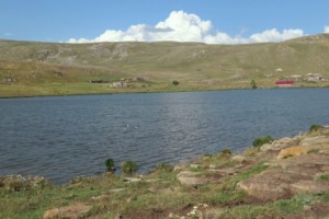 Արման Վերմիշյան. «Բնապահապանական եւ ընդերքի տեսչությունը Արդենիս լճի հետ կապված 
պետք է վարույթ սկսի»
