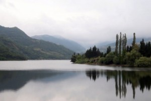 Ոռոգման ջուրը երկու «զոնայի» է բաժանել Տավուշ գյուղը. լավագույն լուծումը նոր 
ջրամբարն է