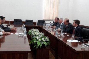 Արցախի օմբուդսմենն ընդունել է ԵԽ պատգամավոր Մարտին Զոնեբորնի գլխավորած պատվիրակությանը