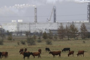 «Смотрю на крышу своего дома — она вся в слизи»

