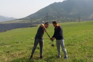 Լիլիթ Սահակյան․ «Առողջապահության նախարարության կողմից ոչ մի 
գործողություն չի իրականցվել՝ աղտոտման և քաղցկեղի կապի 
բացահայտման համար»