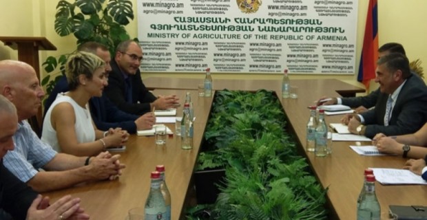International Experts to Evaluate Veterinary Services in Armenia