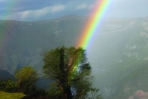 «Էյ Թի ՓԻ» ԲՀ-ն իրականացնում է կայուն զարգացման նոր ծրագրեր