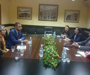 Հեպատիտ Ց-ի բուժման նոր քայլեր ու դեղերի ապահովման հարցեր են քննարկվել
