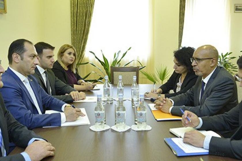 Արտակ Զեյնալյանն ընդունել է ԵԱՀԿ մամուլի ազատության հարցերով ներկայացուցչին