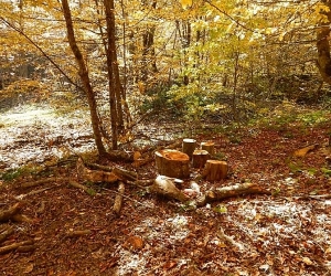 «Հետք»-ի լրագրողի աշխատանքը խոչընդոտելու համար քրեական գործ է հարուցվել ոստիկանության Թումանյանի բաժնում