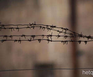 Armenia: 330 Released Under General Amnesty