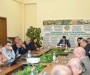 Քննարկում հակամանրէային դեղերի նկատմամբ կայունության դեմ պայքարի իրազեկման արշավի շրջանակում