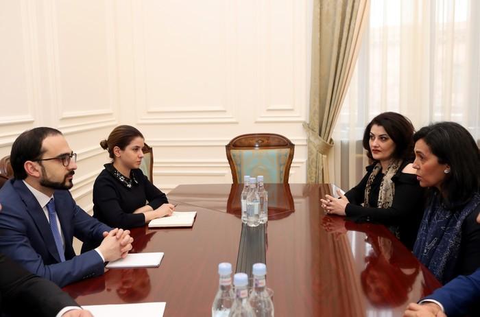 Տիգրան Ավինյանն ընդունեց «Վեոլիա»-ի Կենտրոնական և Արևելյան Եվրոպայի երկրների փոխնախագահին