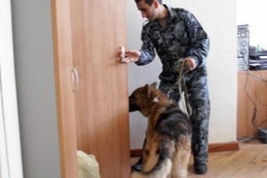 Bomb Scare Evacuates Yerevan Court Building