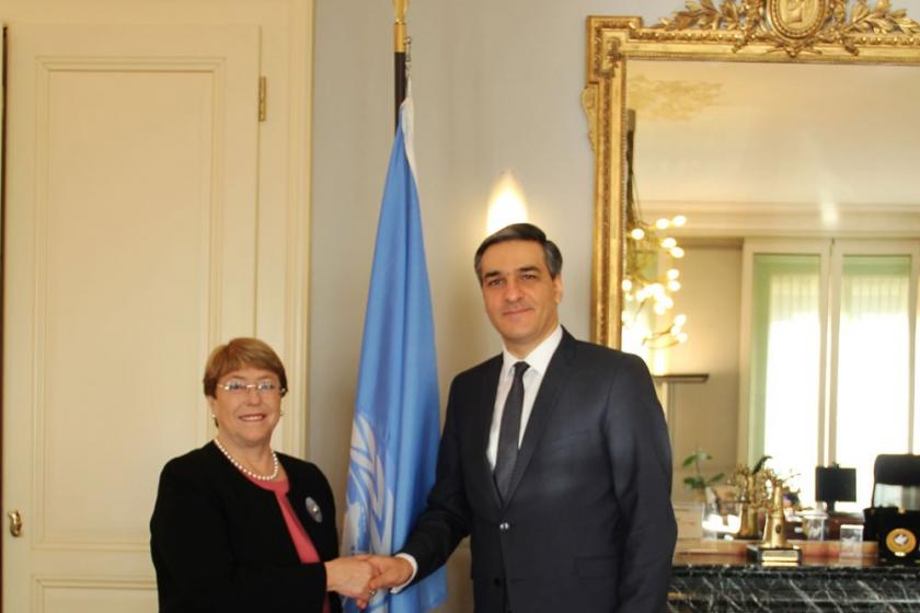 Armenian Human Rights Defender and U.N. High Commissioner for Human Rights Meet in Geneva