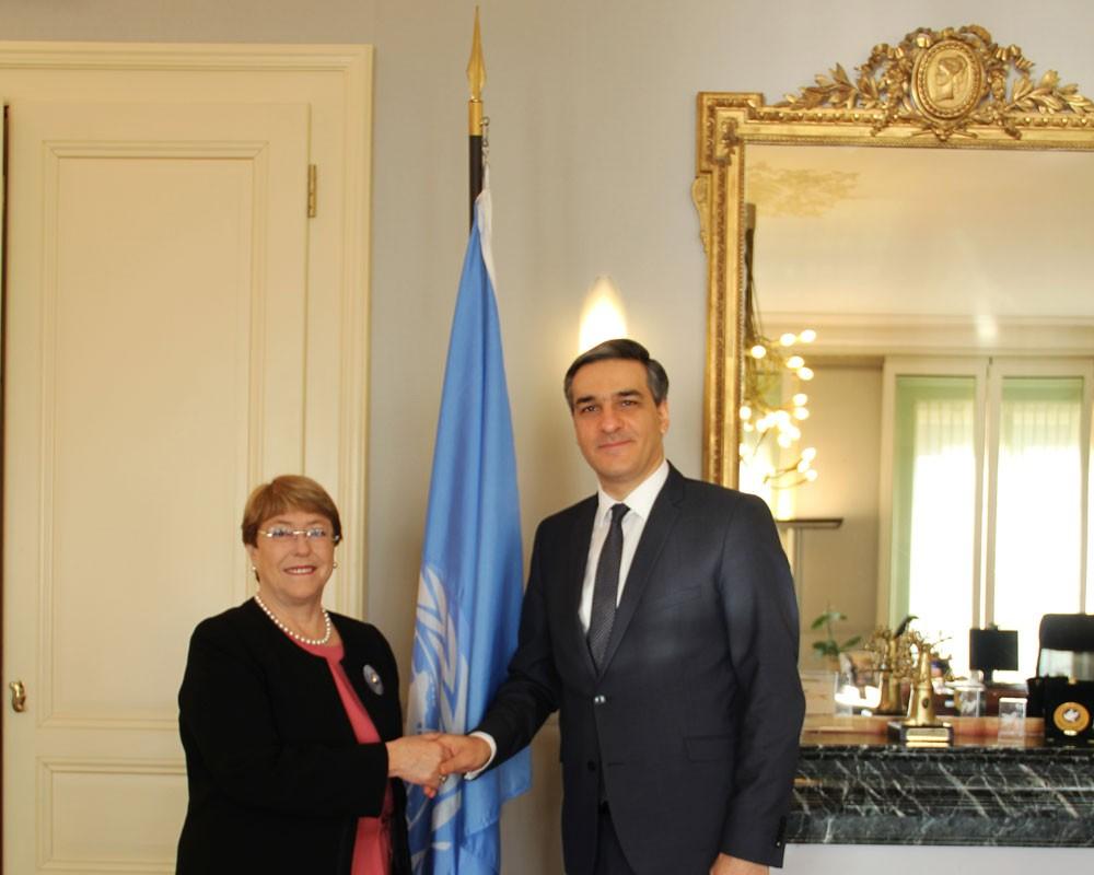 Armenian Human Rights Defender and U.N. High Commissioner for Human Rights Meet in Geneva