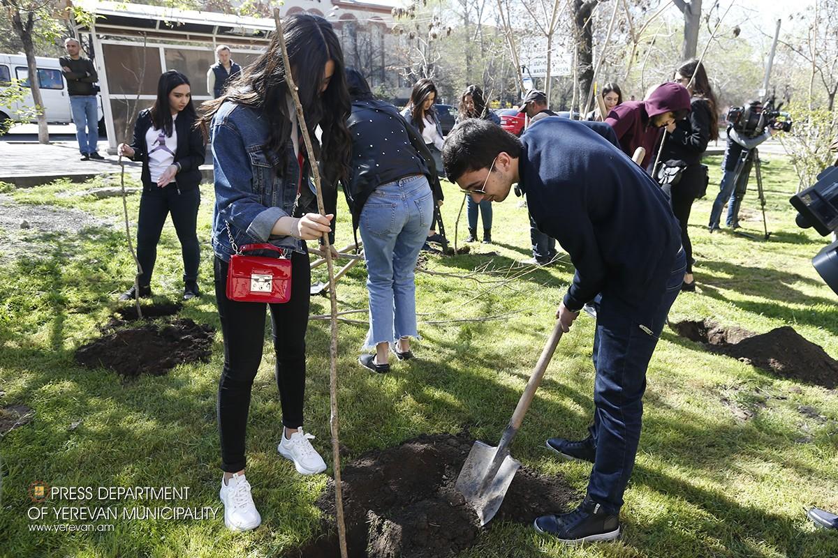 Yerevan Launches Tree Planting