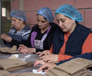 Երեք ընկերներ Արզնիում մրգային «չիպսեր» են արտադրում