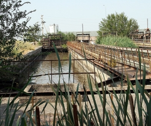 Բնակիչներն ու պետությունը կանոնավոր վճարում են «Վեոլիա ջրին» կեղտաջրերը մաքրելու համար, սակայն մշակովի հողատարածքները ոռոգվում են կեղտաջրերով