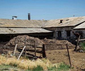 Մարմարաշենի խոզաբուծարանից տարածվող գարշահոտությունը անհանգստացնում է գյուղի բնակիչներին