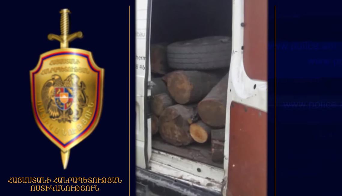 Լոռու մարզում ապօրինի ծառահատման հերթական դեպքն է բացահայտվել