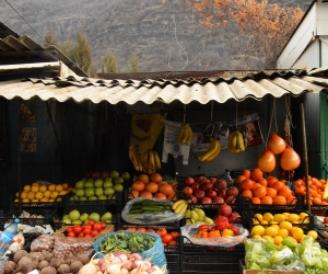 ԵԱՏՄ-ում մշակվելու են ենթակարանտինային ապրանքների հետագծելիության համակարգեր