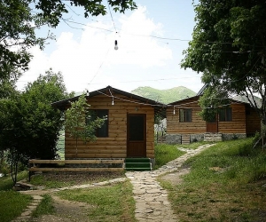«Հայանտառ» ՊՈԱԿ-ի պաշտոնատար անձանց կողմից պաշտոնեական լիազորությունների  չարաշահման հետևանքով պետությանը 131 մլն դրամի վնաս է պատճառվել
