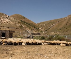 Ախուրյան գետի ջուրը կռվախնձոր է դարձել հէկերի նախկին և ներկա պաշտոնյա սեփականատերերի միջև