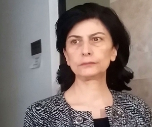 Адвокат по делу “Джермукцы против министра Эрика Григоряна” ходатайствовала запретить компании “Лидиан Армения” осуществлять какие-либо действия на Амулсарском