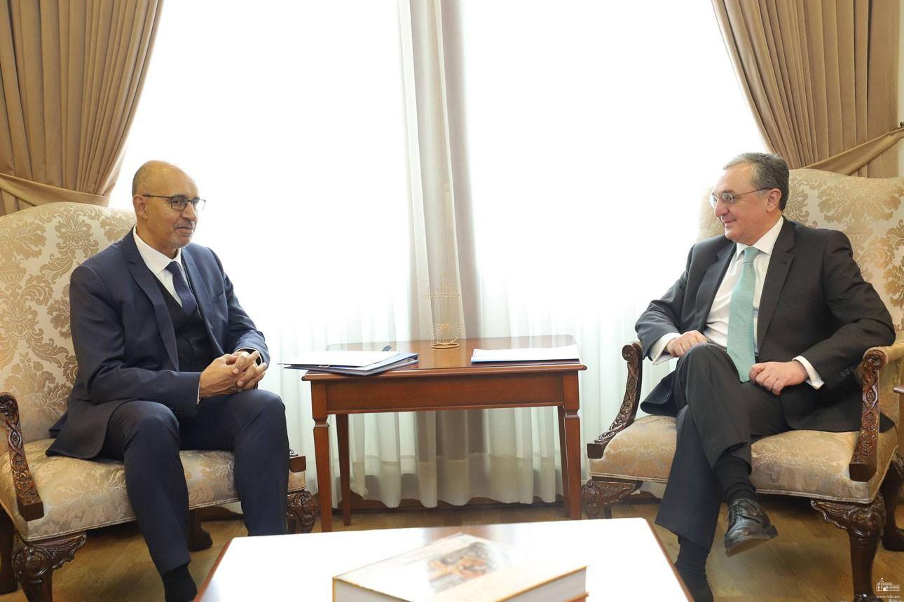 Armenian Foreign Minister and OSCE Rep on Freedom of the Media Discuss Reforms