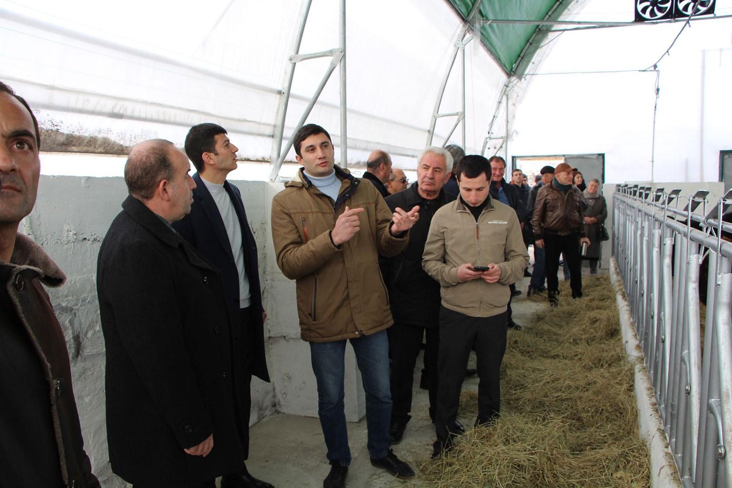 Շիրակի մարզում բացվել է թեթև կոնստրուկցիաներով «խելացի» անասնաշենքը