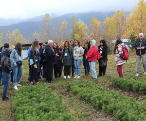 Risks and Opportunities in Planting Millions of New Trees in Armenia