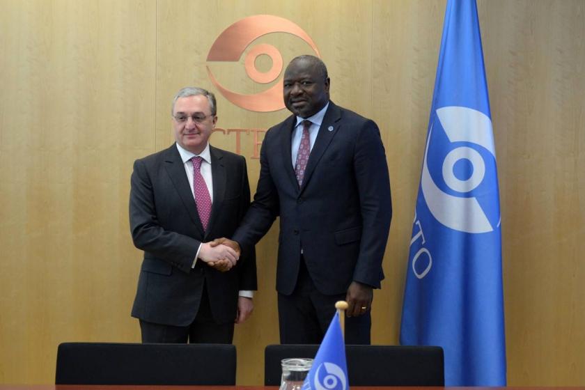 Armenian Foreign Minister Meets with Comprehensive Test-Ban-Treaty Organization Executive Secretary