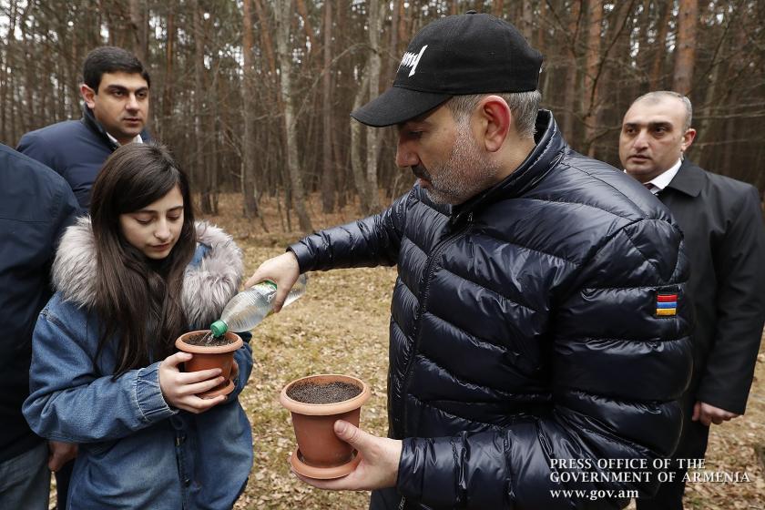 10 миллионами армян в 10-й день 10-го месяца сажаем 10 миллионов деревьев: в рамках программы премьер-министр посеял семена кедра